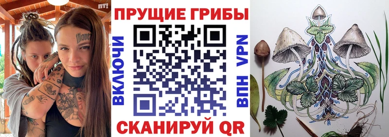 Галлюциногенные грибы прущие грибы Саранск